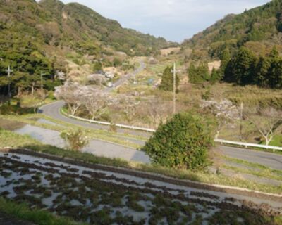 小規模水道支援